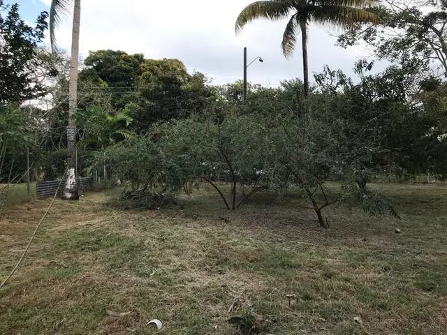 Ave. 8va. Sur, Nueva Gorgona, Chame - Photo 33