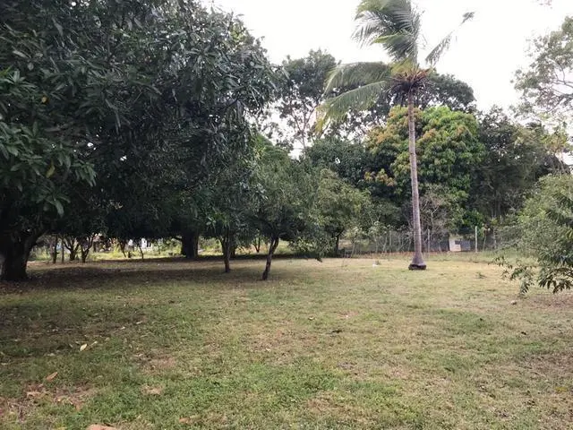 ave. 8va. sur, nueva gorgona, chame