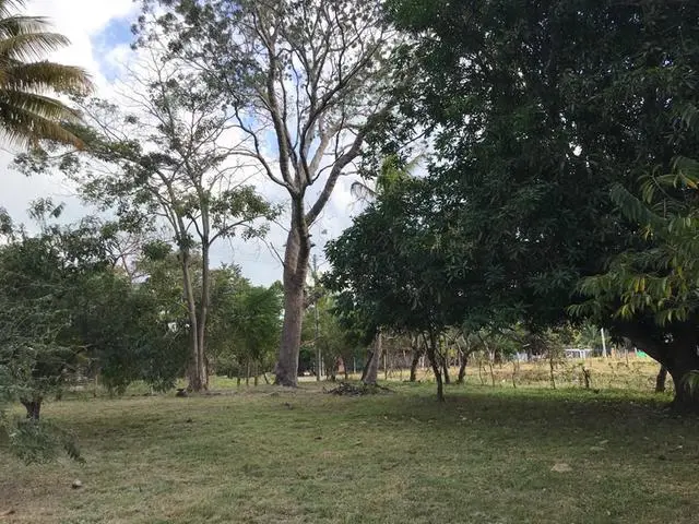 Ave. 8va. Sur, Nueva Gorgona, Chame - Photo 15