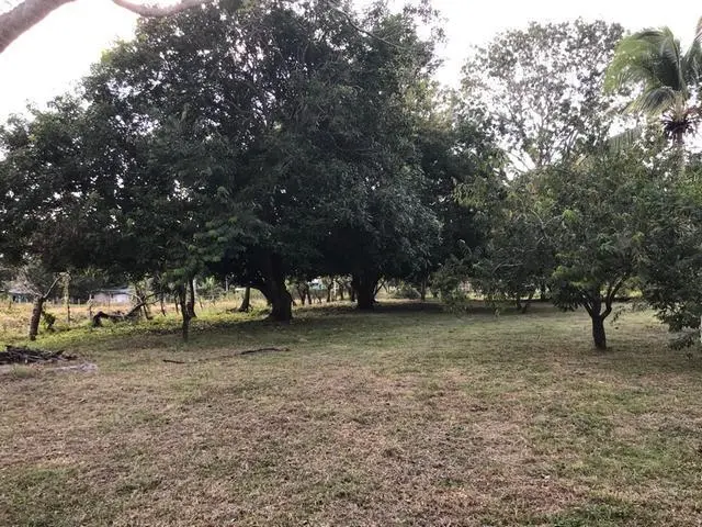 Ave. 8va. Sur, Nueva Gorgona, Chame - Photo 5