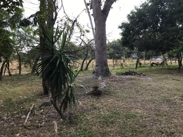 Ave. 8va. Sur, Nueva Gorgona, Chame - Photo 18