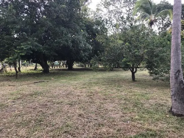 Ave. 8va. Sur, Nueva Gorgona, Chame - Photo 23