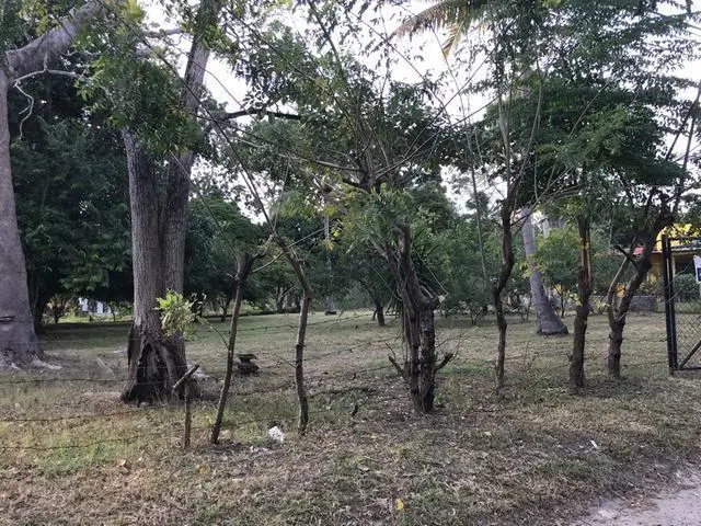 Ave. 8va. Sur, Nueva Gorgona, Chame - Photo 26