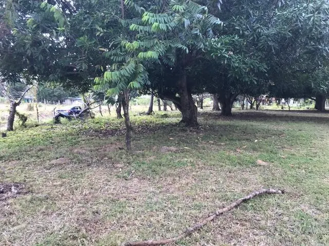 Ave. 8va. Sur, Nueva Gorgona, Chame - Photo 20