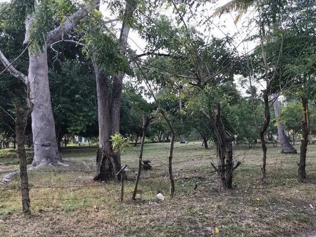 Ave. 8va. Sur, Nueva Gorgona, Chame - Photo 30