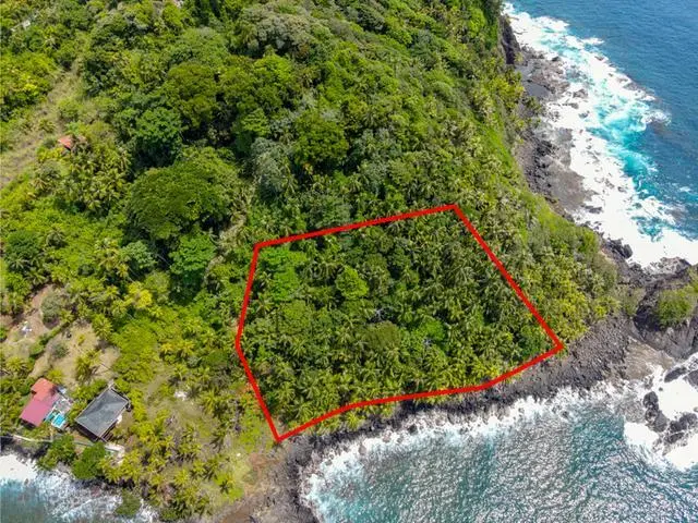 Colón, Portobelo, Isla Grande - Photo 49