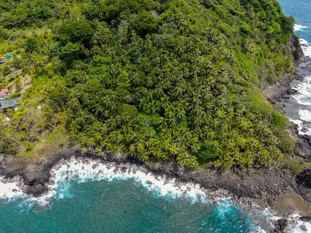 Colón, Portobelo, Isla Grande - Photo 62