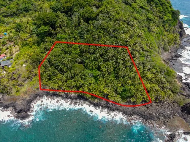 Colón, Portobelo, Isla Grande - Photo 65