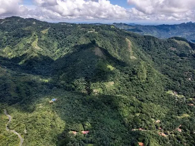 Lote De 22 Hectáreas En Altos Del Maria - Photo 7