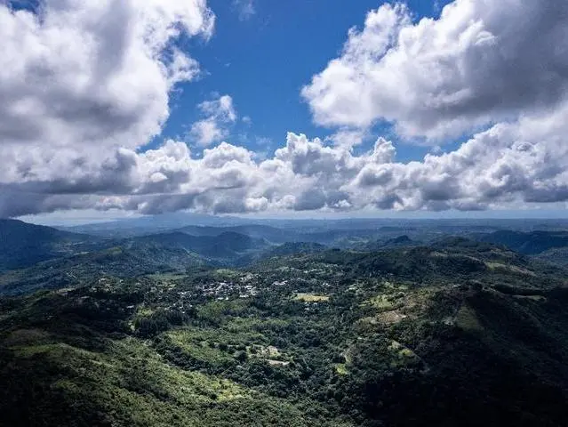 Lote De 22 Hectáreas En Altos Del Maria - Photo 1