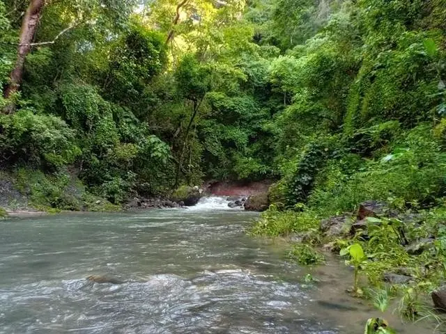 Lote De 22 Hectáreas En Altos Del Maria - Photo 31
