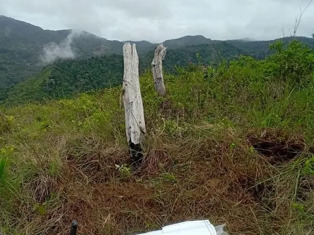 Lote De 22 Hectáreas En Altos Del Maria - Photo 26