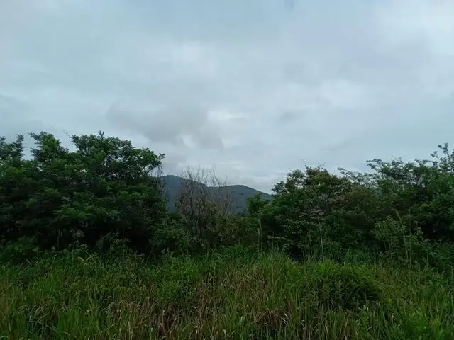 Lote De 22 Hectáreas En Altos Del Maria - Photo 21