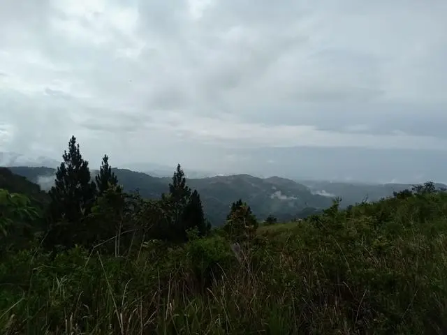 Lote De 22 Hectáreas En Altos Del Maria - Photo 19