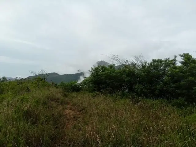 Lote De 22 Hectáreas En Altos Del Maria - Photo 23