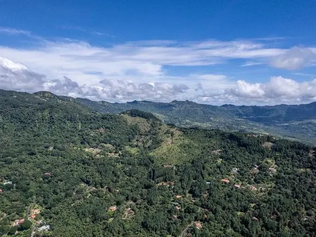 Lote De 22 Hectáreas En Altos Del Maria - Photo 3