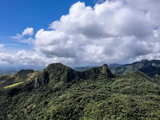 Lote De 22 Hectáreas En Altos Del Maria - Photo 5