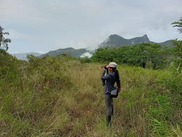 Lote De 22 Hectáreas En Altos Del Maria - Photo 20