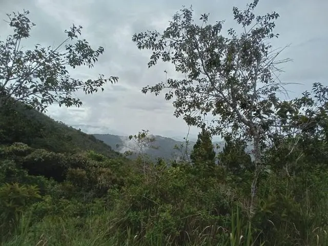 Lote De 22 Hectáreas En Altos Del Maria - Photo 17