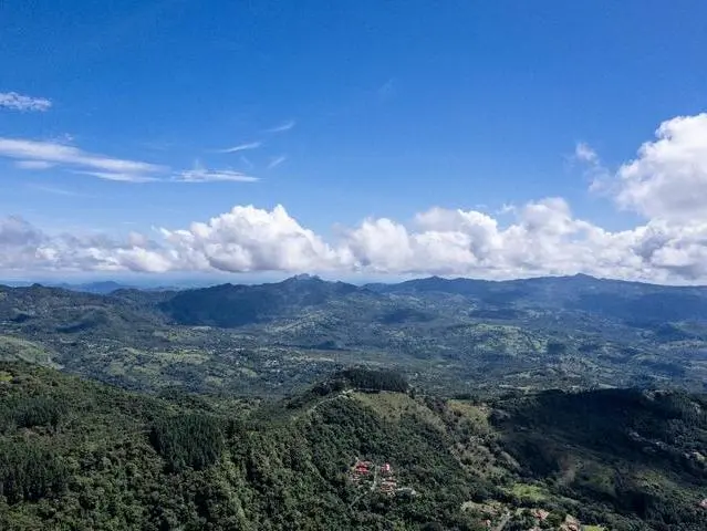 Lote De 22 Hectáreas En Altos Del Maria - Photo 6