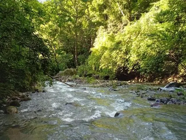 Lote De 22 Hectáreas En Altos Del Maria - Photo 30