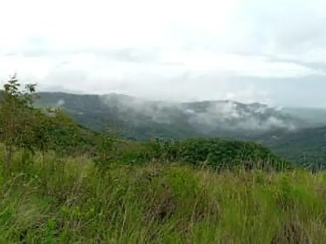 Lote De 22 Hectáreas En Altos Del Maria - Photo 24