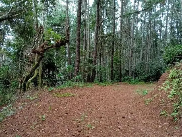 Lote De 22 Hectáreas En Altos Del Maria - Photo 18