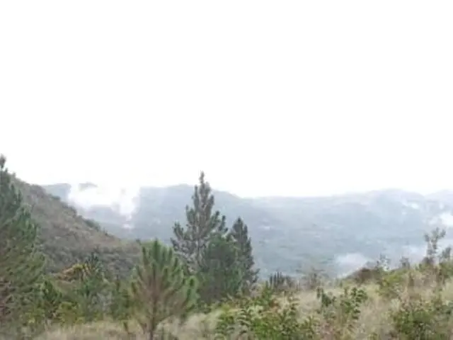 Lote De 22 Hectáreas En Altos Del Maria - Photo 22