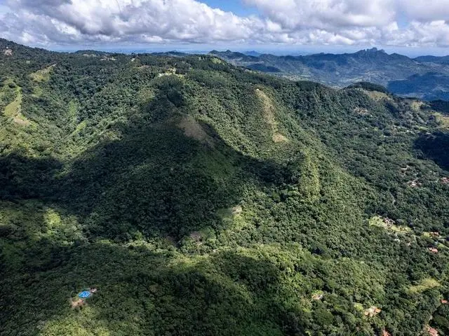Lote De 22 Hectáreas En Altos Del Maria - Photo 8