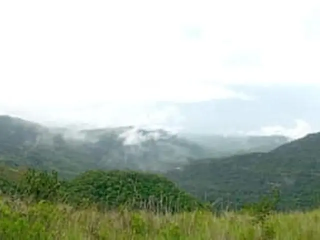 Lote De 22 Hectáreas En Altos Del Maria - Photo 25