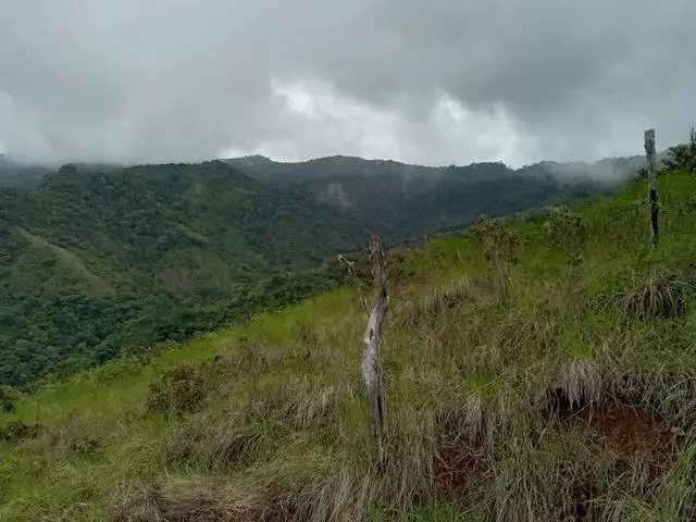 Lote De 22 Hectáreas En Altos Del Maria - Photo 28