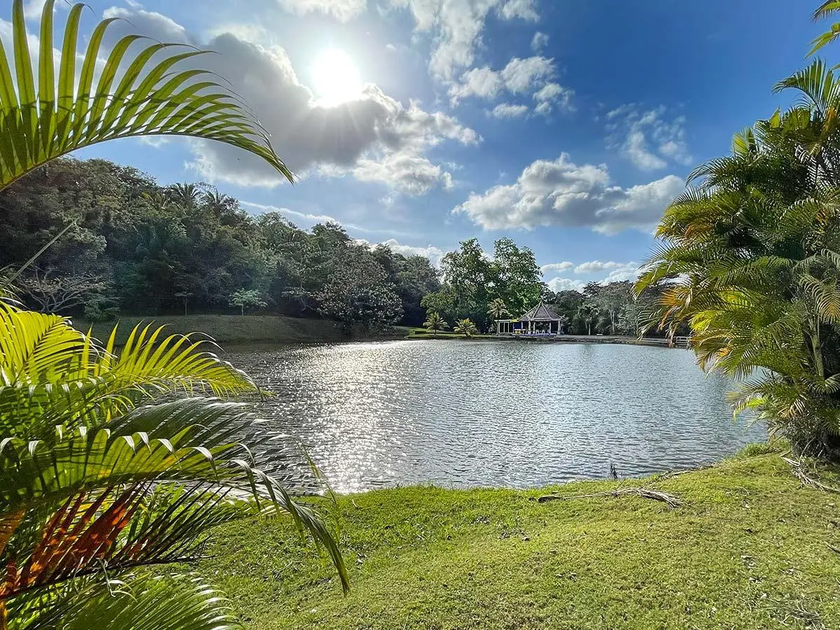 Brisas De Los Lagos, El Arado, La Chorrera #casa No.8 - Photo 16