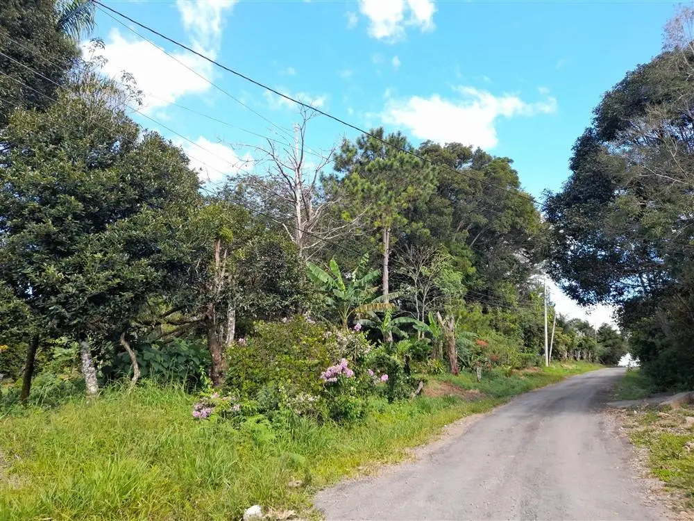 Palmira Centro - Photo 20