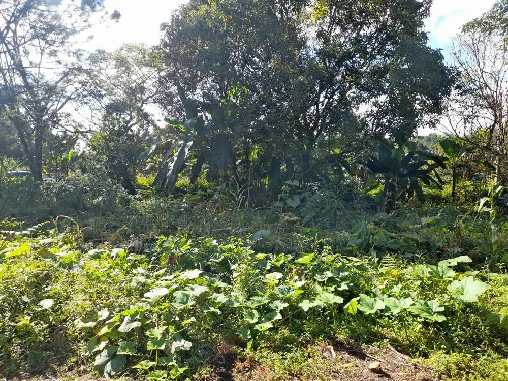 Palmira Centro - Photo 27