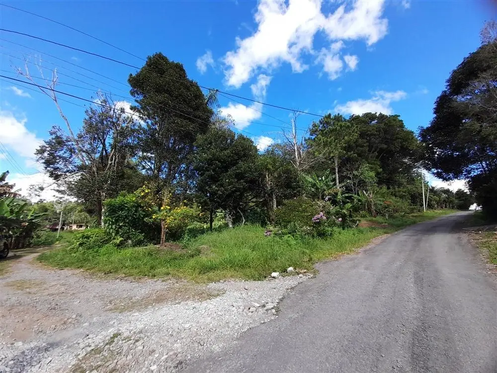 Palmira Centro - Photo 18