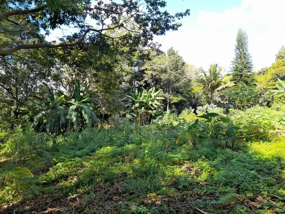 Palmira Centro - Photo 29