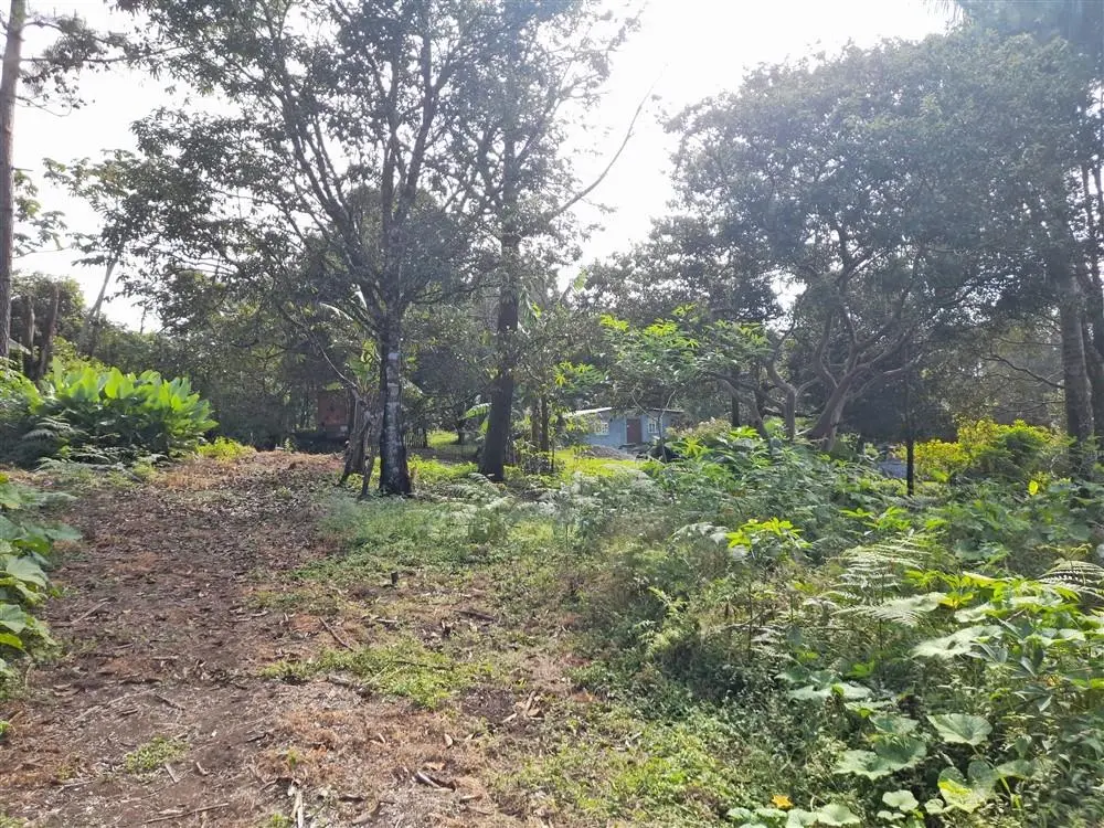 Palmira Centro - Photo 9