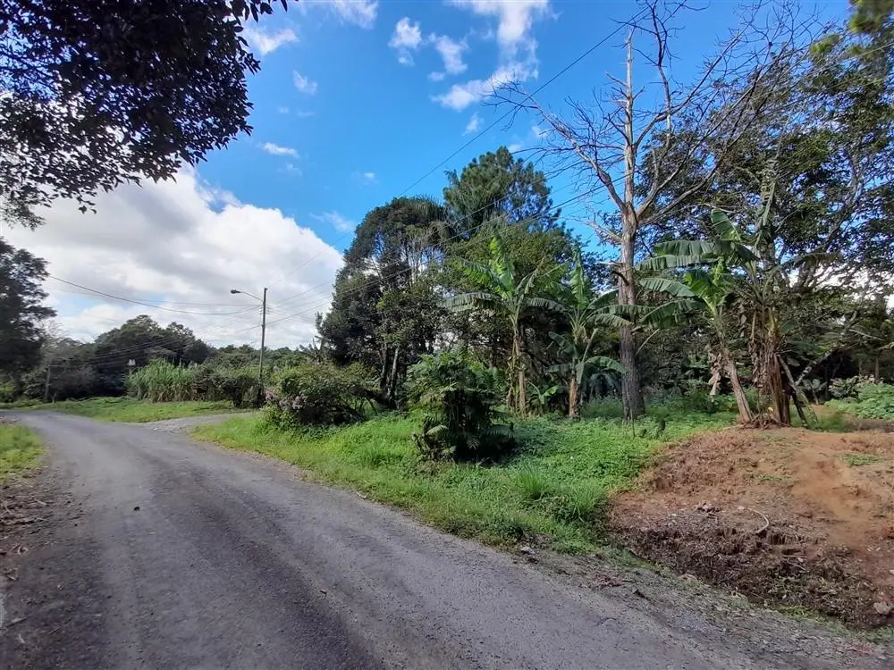 Palmira Centro - Photo 13