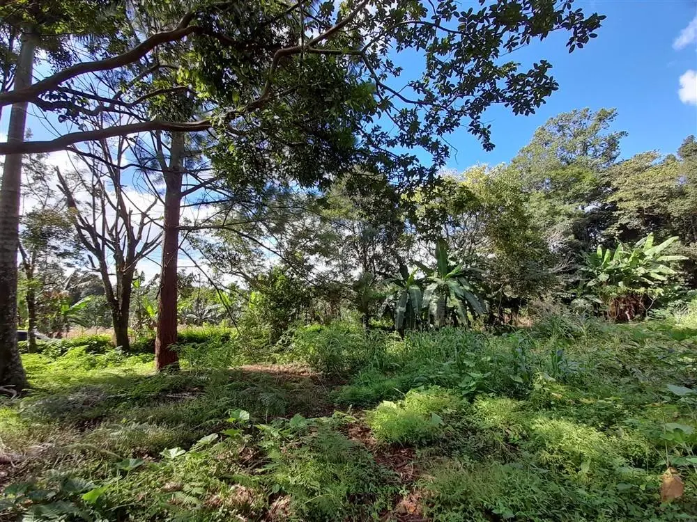 Palmira Centro - Photo 36