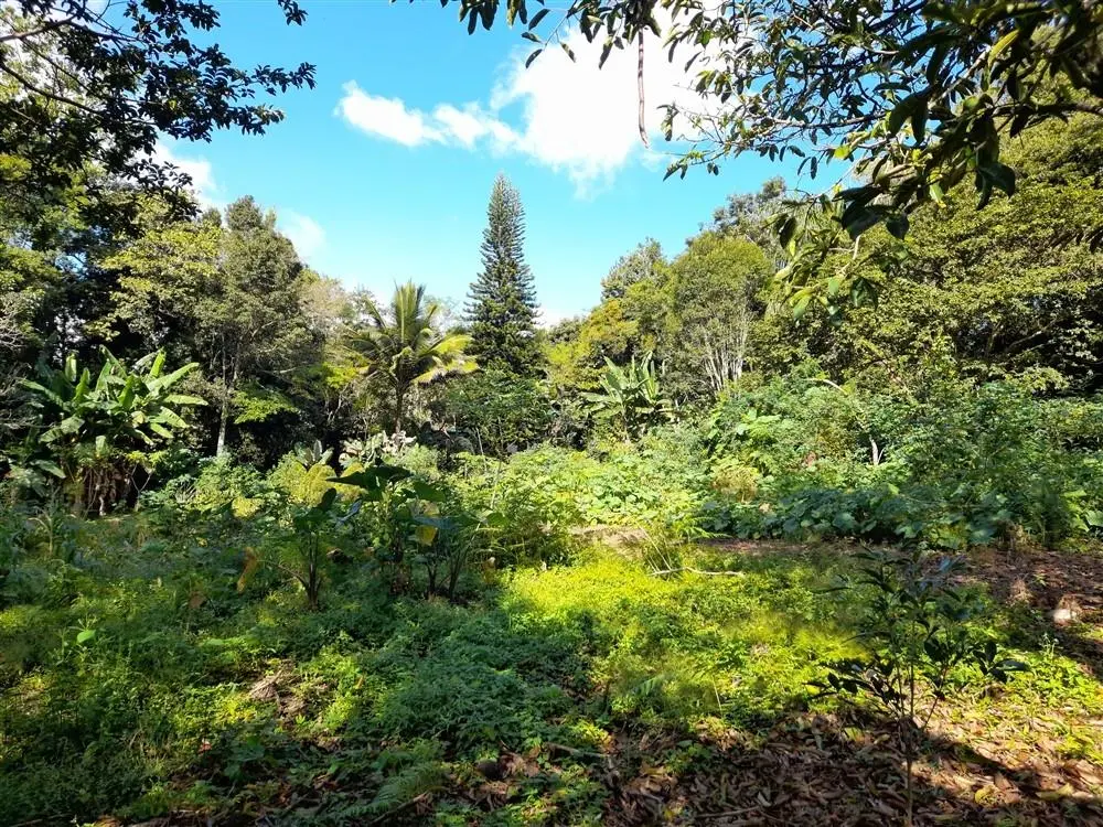 Palmira Centro - Photo 31