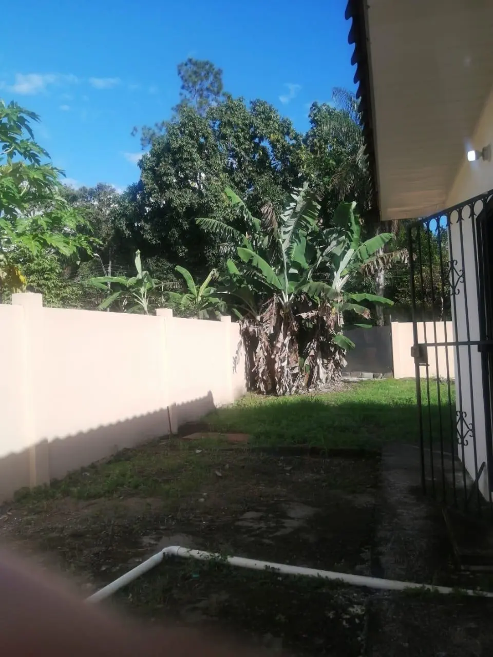 San Antonio, David - Photo 15