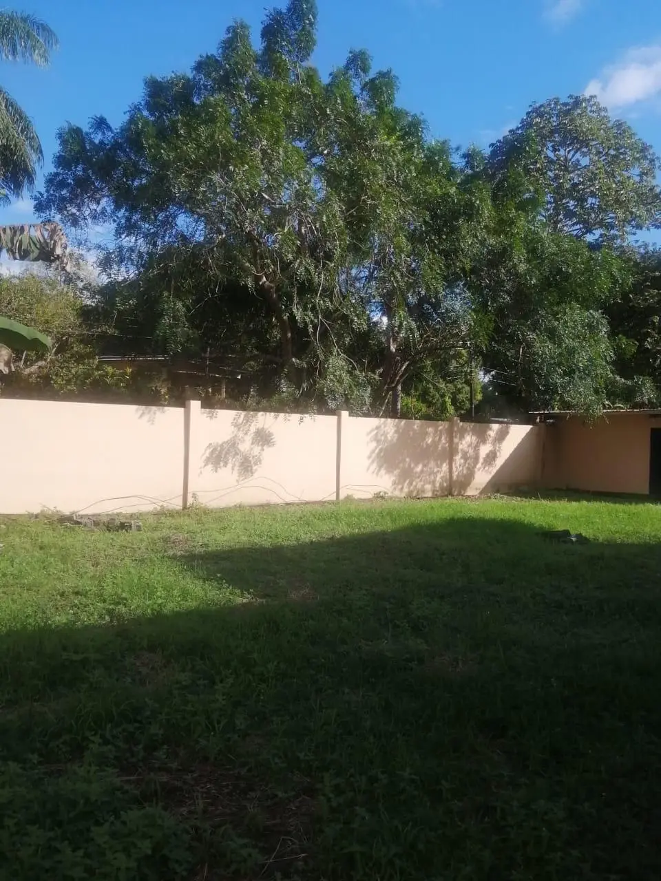 San Antonio, David - Photo 14