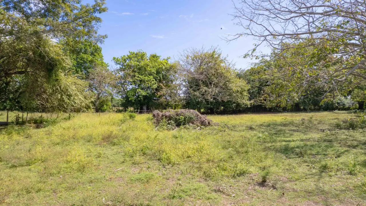 Calle Tribunal Electoral - Photo 31