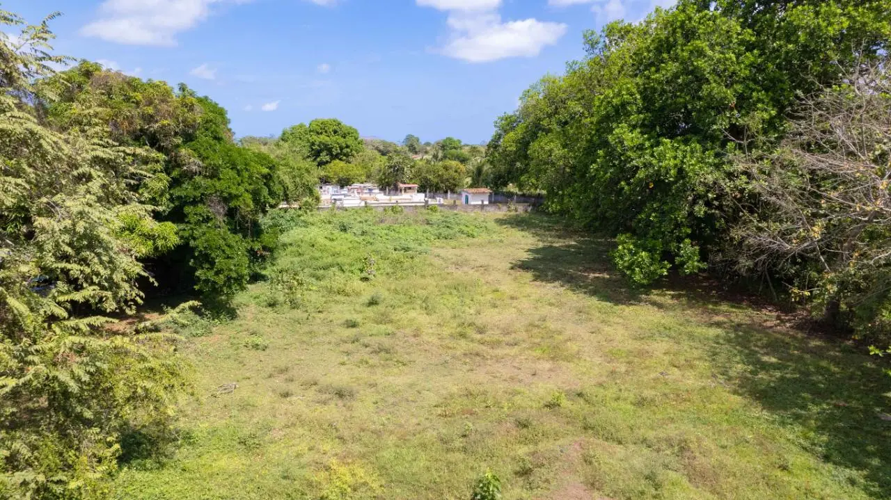 Calle Tribunal Electoral - Photo 27