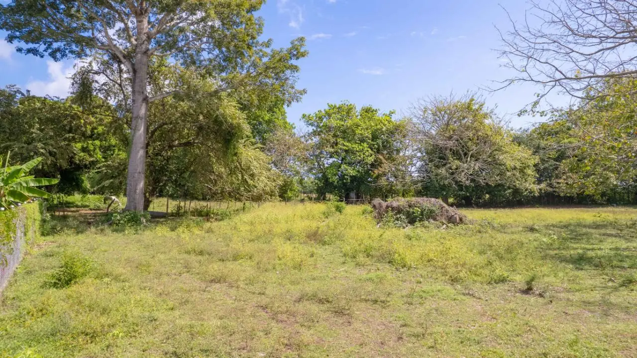 Calle Tribunal Electoral - Photo 36