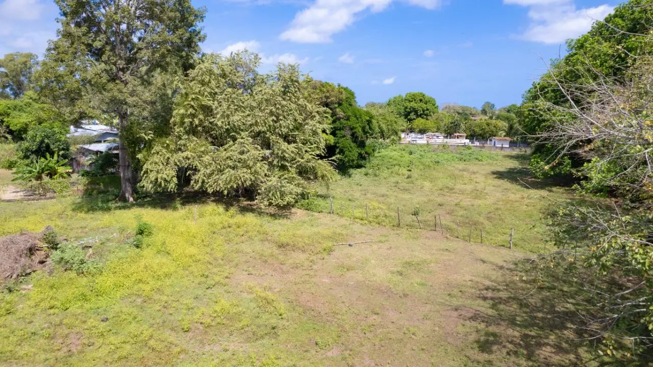 Calle Tribunal Electoral - Photo 22