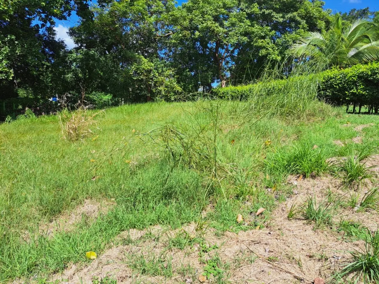 Villa Campestre De Lajas #09 - Photo 20