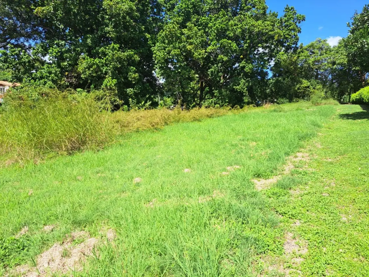 Villa Campestre De Lajas #09 - Photo 2