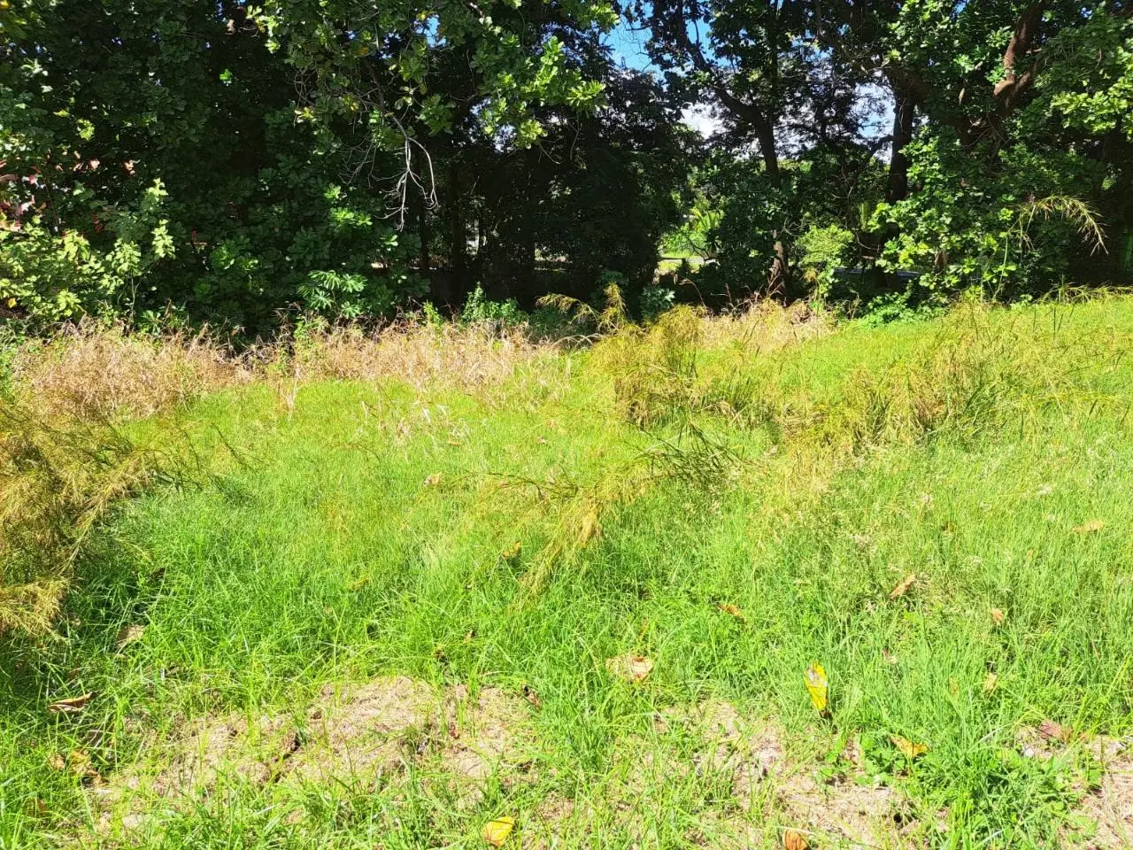 Villa Campestre De Lajas #09 - Photo 18