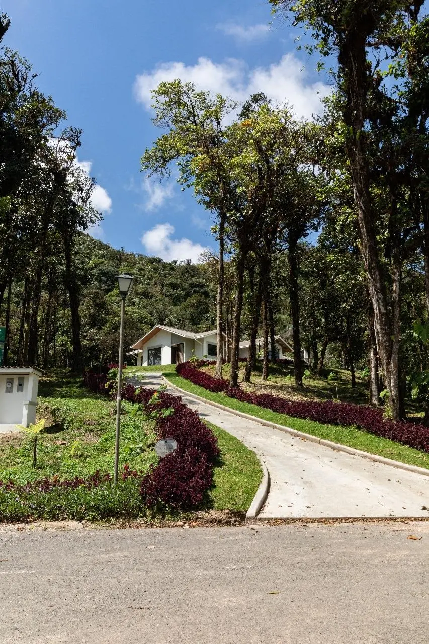 1357 Altos Del Maria - Ph Valle Bonito #begonia - Photo 3